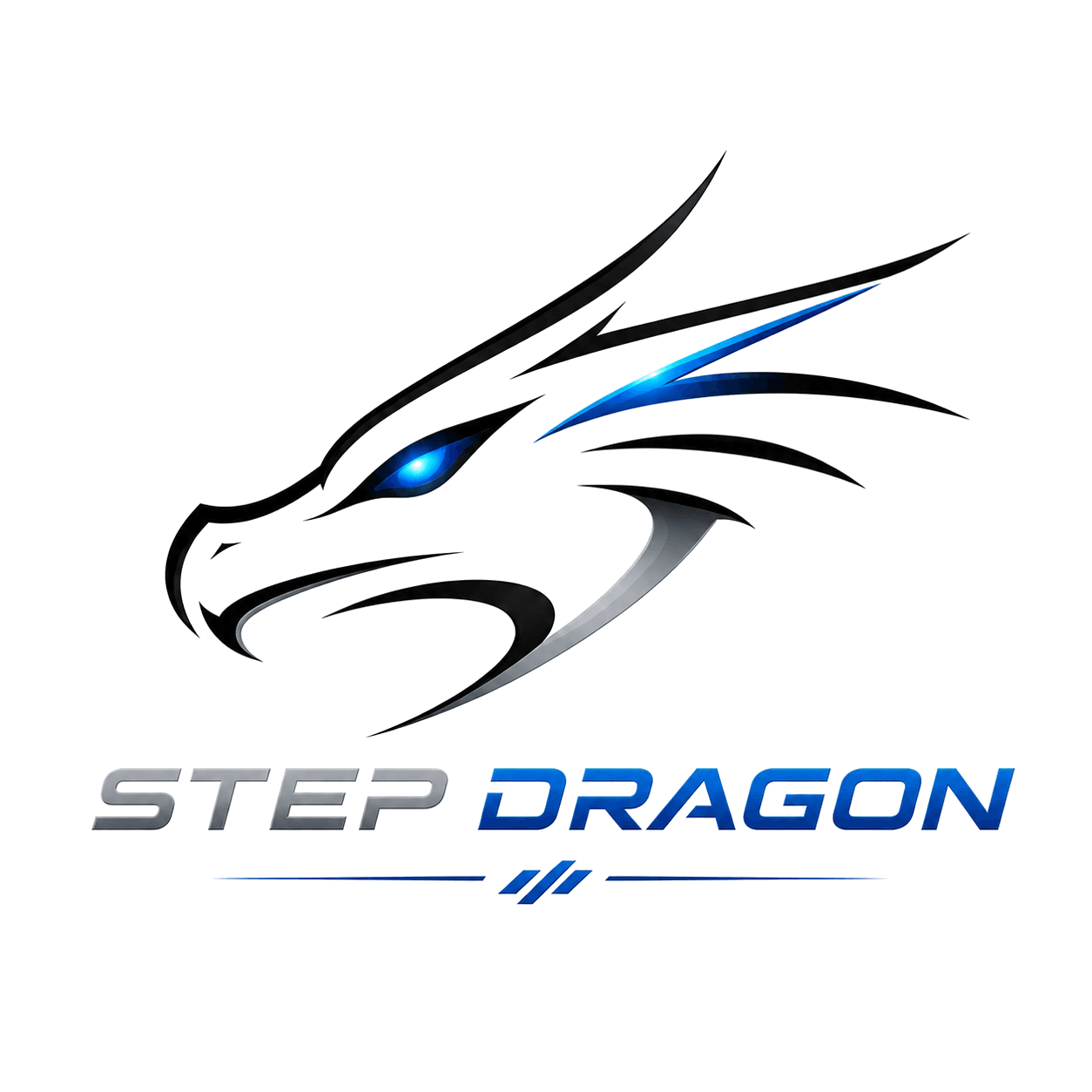 Step Dragon Corporation